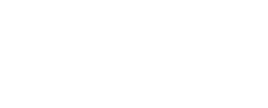 Salt Logo